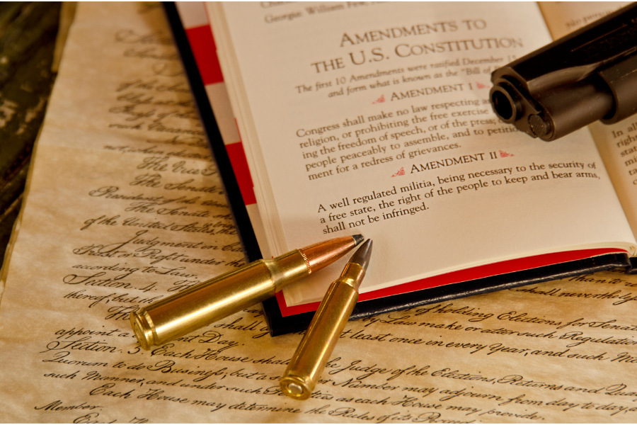 Second Amendment blog cover