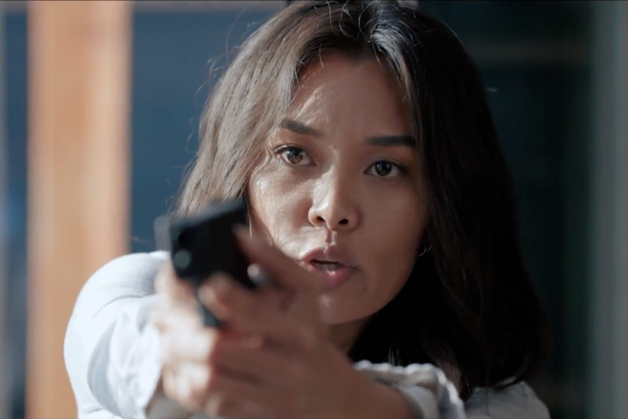 Best Home Defense Firearm Cover